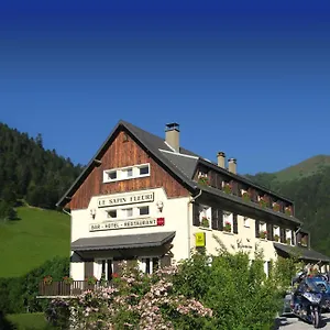 Le Sapin Fleuri Hotel